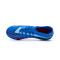 Zapatos de fútbol adidas Predator Accuracy.2 FG