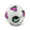 Balón Nike Futsal Pro