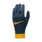 Guantes FC Barcelona Academy Therma-Fit 2023-2024