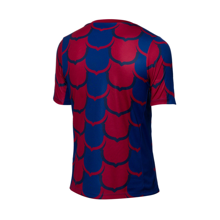 camiseta-nike-fc-barcelona-pre-match-2023-2024-adulto-deep-royal-blue-club-gold-1
