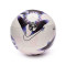 Balón Nike Colección Premier League Temp. 2023-2024