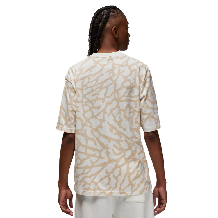 camiseta-jordan-x-paris-saint-germain-heritage-sail-sanddrift-1
