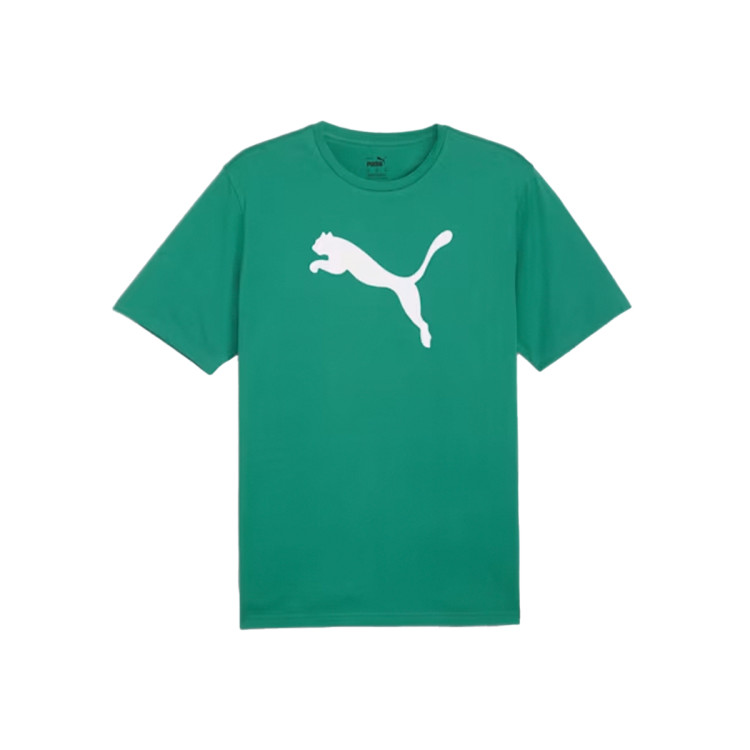 camiseta-puma-teamrise-logo-sport-green-white-0